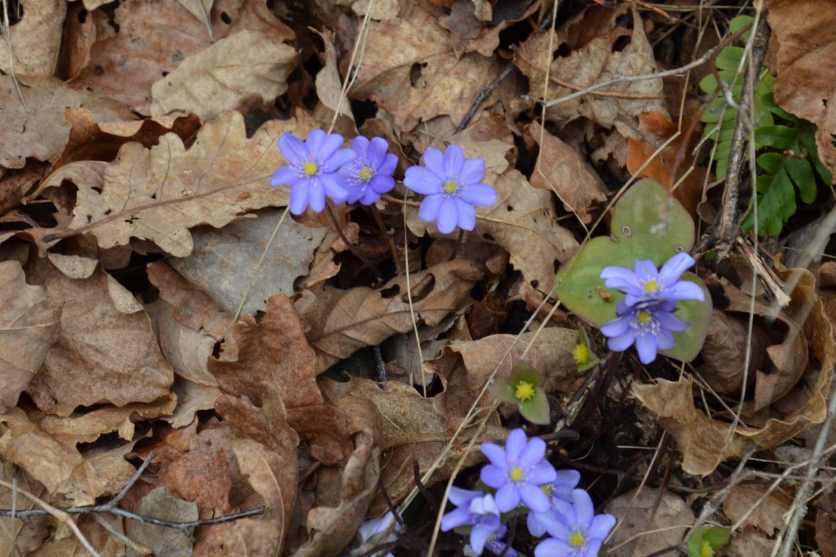 Zunerhof 30.03.2024